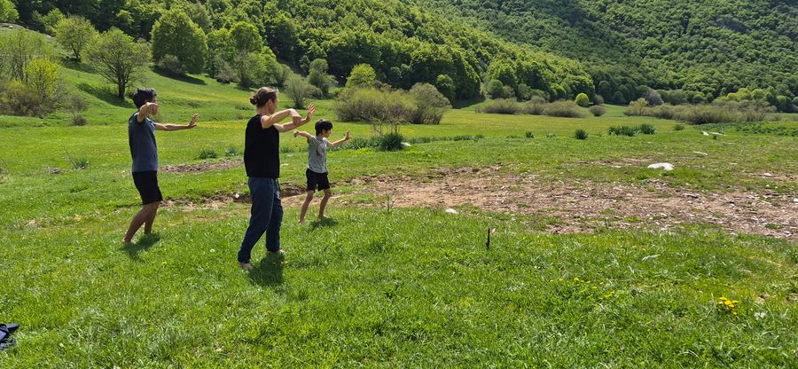 Pratique en groupe lors d'un stage en plein air